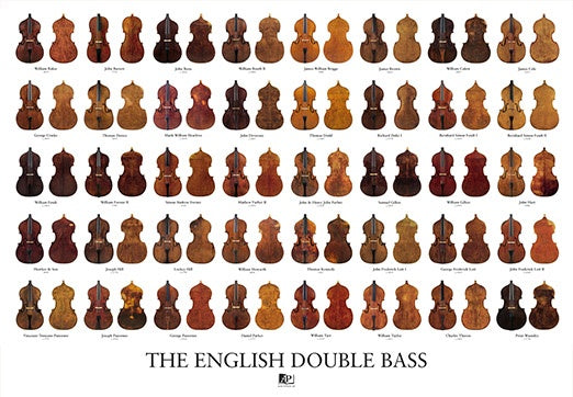 The English Double Bass Print